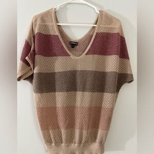 Express Multicolor Striped V-Neck Sweater